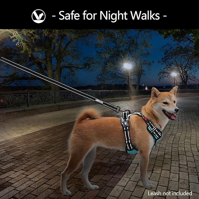 PoyPet No Pull Dog Harness Medium with Front Clip & Neck Release Buckle | No Choke, Adjustable Vest, Reflective, Back Clip, Lockable, Soft Padded Handle for Walking Training, M, Mint Blue - Image 6