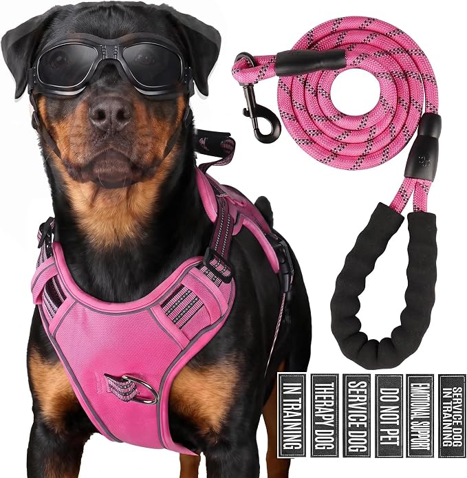 3-in-1 Dog Vest Harness Leash Set for Daily,Service,Training Animal X Large by Unknown