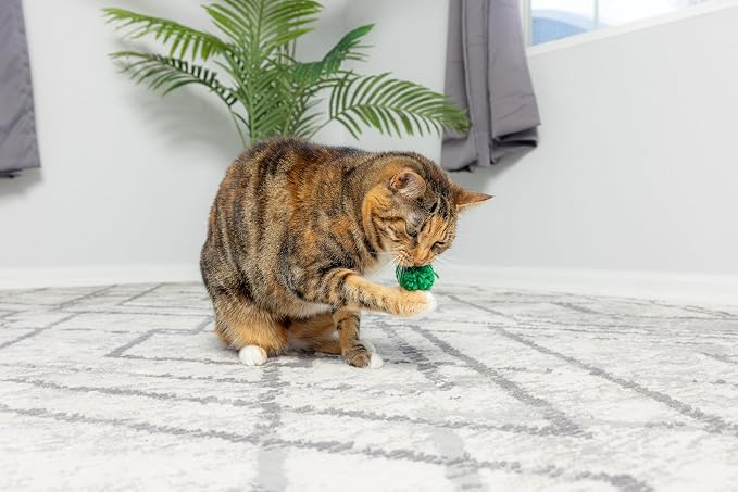 SPOT Wool Pom Poms Cat Toy - Interactive Wool Balls Cat Toy with Catnip for Cats and Kittens to Bite, Swat and Chase - 1.5 inch, 4 pcs - Image 2