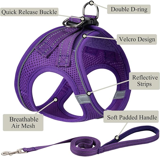 Dog Harness with Leash Set, Step-in Adjustable Puppy Pet Vest, Purple M | Lightweight Breathable Air Mesh, Night Safety Reflective, No Pull Puppy Vest Harnesses for Small Medium Large Dogs, Cats - Image 2