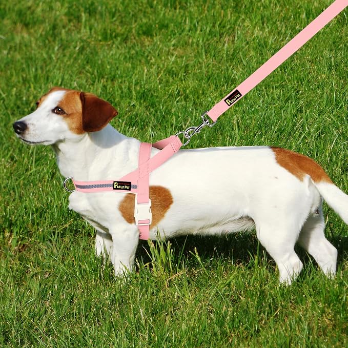 Plutus Pet Cotton Dog Harness and Leash Set, Reflective and Soft Padded, Quick Fit Vest Harness, for Small, Medium and Large Dogs, Pink, XS - Image 6