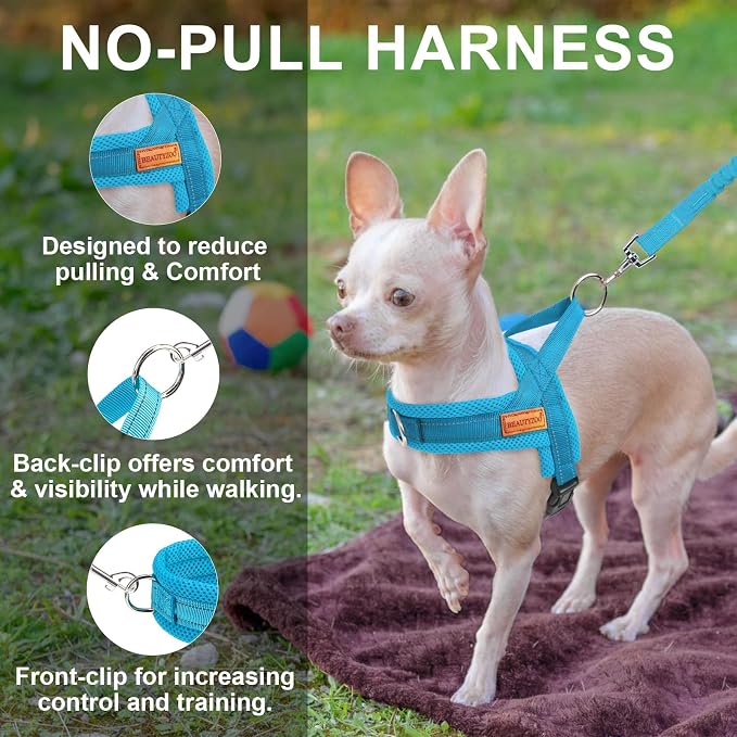 BEAUTYZOO Small Dog Harness and Leash Set, No Pull Step in Puppy Vest | Breathable Mesh with Handle, Reflective, Adjustable No Choke Escape Proof, Lightweight, Easy Control for Walking, Blue XS - Image 8