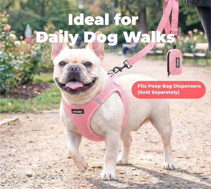 Best Pet Supplies Voyager Nylon Dog Leash - Pink, Small | 5ft in Length, 5/8" in Width, Reflective, Soft Neoprene Handle, Heavy Duty Metal Clips for Running, Walking & Training - Image 3
