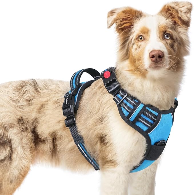 rabbitgoo Dog Harness Medium Sized, Updated Easy On & Off with 3 Buckles | No Pull No Choke, Walking with 2 Clips and Handle, Adjustable Soft Reflective, Sky Blue, Medium by rabbitgoo