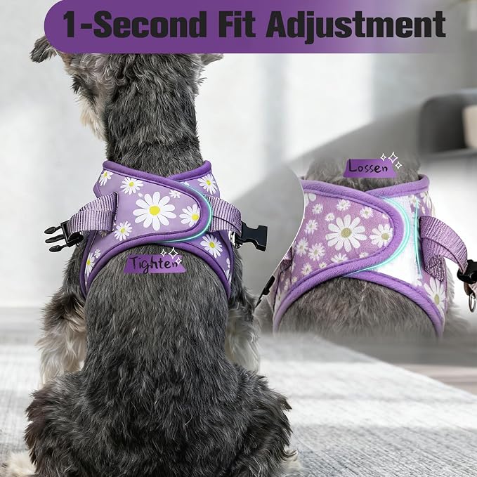 Small Dog Harness and Leash Set - Cute Spring Puppy Harness Leash Dog Collar with AirTag Holder Silicone Case, Soft Padded Step in Pet Vest Reflective for Outdoor Walking, Purple Daisy M - Image 5