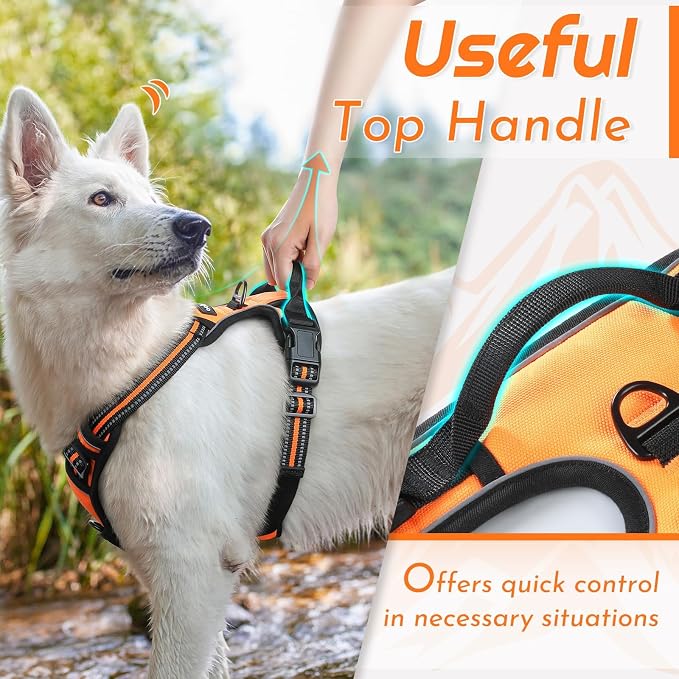 Eagloo Dog Harness for Medium Sized Dogs, No Pull Vest with 2 Leash Clips | No Choke with Handle, Adjustable Comfort Fit, Reflective Strips, Easy Walking Control, Orange, Medium - Image 5