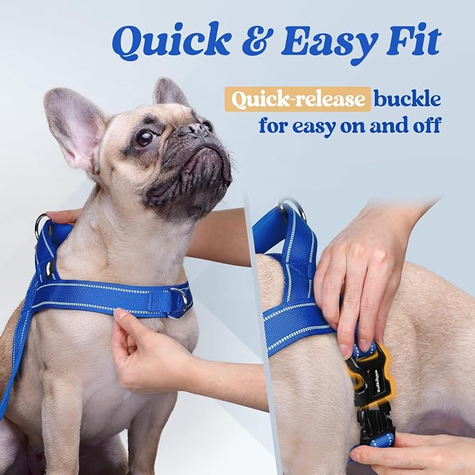 rabbitgoo Dog Harness No Pull, Quick Fit for Medium Sized Dog, Reflective | Chest Adjustable Pet Vest with Soft Padded Handle, No Choke Escape Proof for Walking Training, Blue M - Image 4