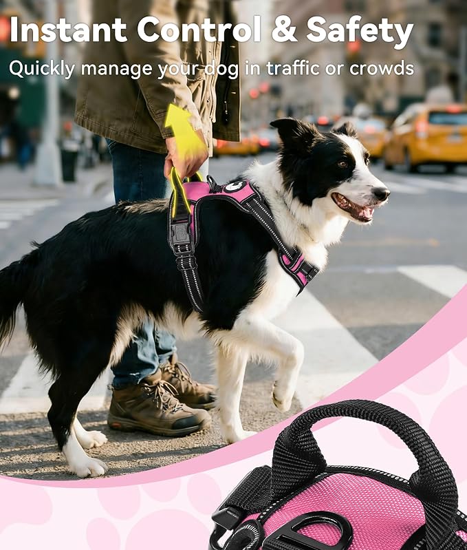 Joytale No Pull Dog Harness Medium Sized Dog, Front Clip, Pink | Grab Handle for Instant Control, Padded & Adjustable Vest, Sturdy Metal D-Rings, for Safe Training & Daily Walking - Image 3