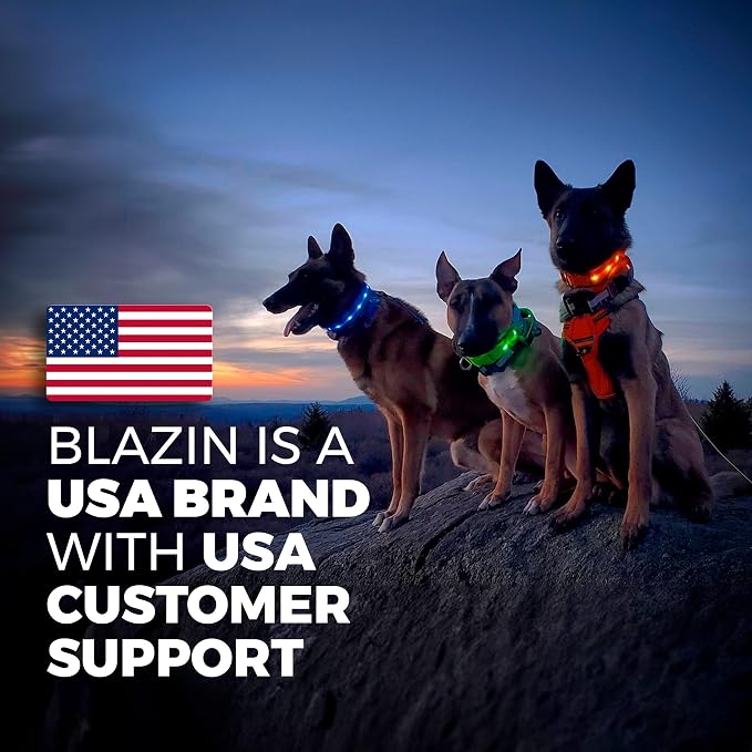 Blazin Light Up Dog Collar - The Original LED Dog Collar - USB Rechargeable - Waterproof - 1,000 Feet of Visibility - Dog Collar Light for Small, Medium, Large Dogs - USA Brand - Image 7