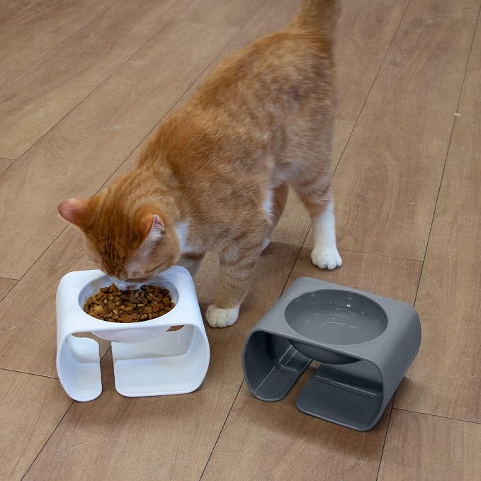 Kitty City Raised Cat Food Bowl Collection/Stress Free Pet Feeder and Waterer and Slow Feed Bowls - Image 2