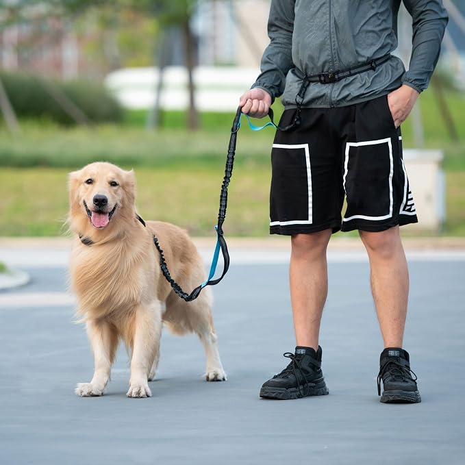 Hands Free Dog Leash with Zipper Pouch, Large, 25-120 lbs, Grey | Waist Leash, Dual Padded Handles, Shock-Absorbing Bungee, Adjustable Waist Belt, Walking and Running - Image 7