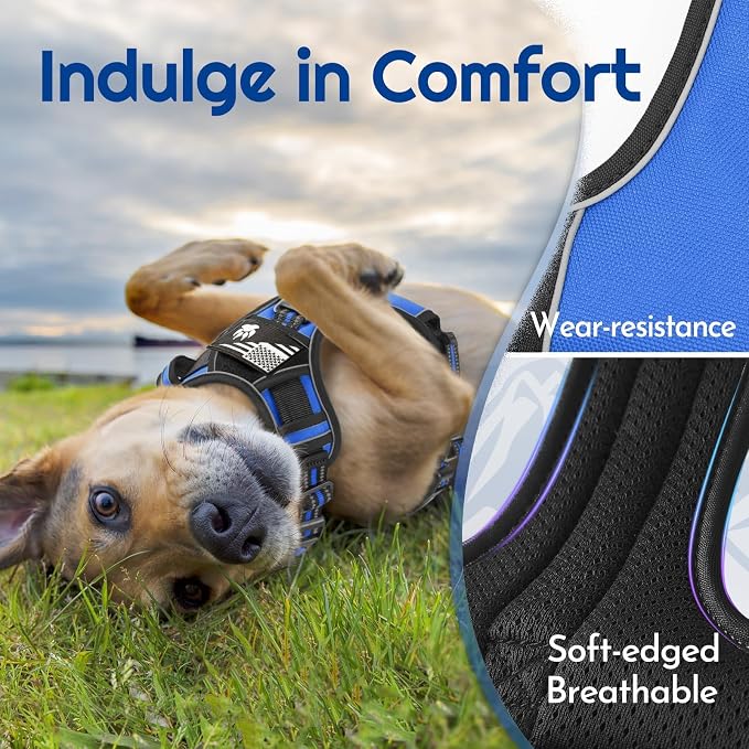 Eagloo Dog Harness No Pull for Large Dogs, Easy On & Off with 3 Buckles | No Choke with Front Clip, Adjustable Fit, MOLLE System, Reflective Vest, Easy Control for Walking, Black & Blue, X-Large - Image 7