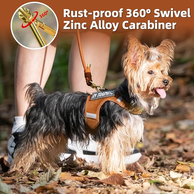 5FT Dog Leash 5/16 inch Puppy Cat Rope Lead | Carmel Brown, with Anti-tangle Swivel Clip, Comfortable Non-slip Grip Handle, Ideal for Daily Walks, for Small Medium Dogs - Image 6