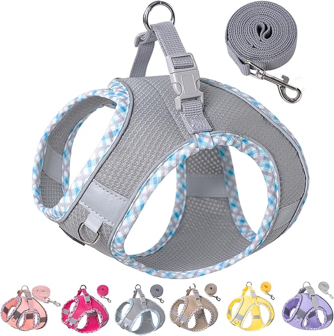 Petank Dog Harness for Small Medium Dogs No Pull, Puppy Harness and Leash Set for Walking, Running, Training, Small Dog Harness, Medium Dog Harness (Grey, S) by Petank
