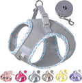Petank Dog Harness for Small Medium Dogs No Pull, Puppy Harness and Leash Set for Walking, Running, Training, Small Dog Harness, Medium Dog Harness (Grey, S) by Petank