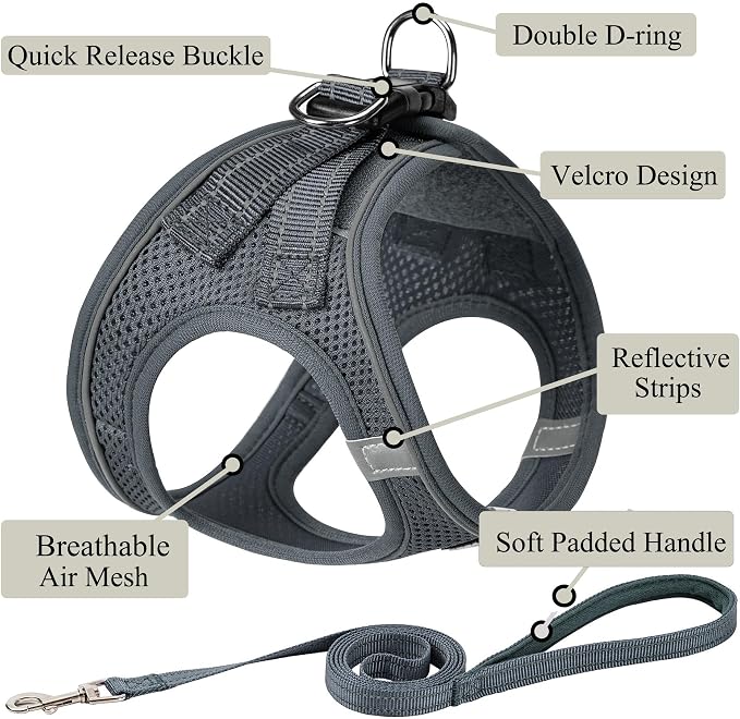 Dog Harness with Leash Set, Step-in Adjustable Puppy Pet Vest, Grey XXS | Lightweight Breathable Air Mesh, Night Safety Reflective, No Pull Puppy Vest Harnesses for Small Medium Large Dogs, Cats - Image 2