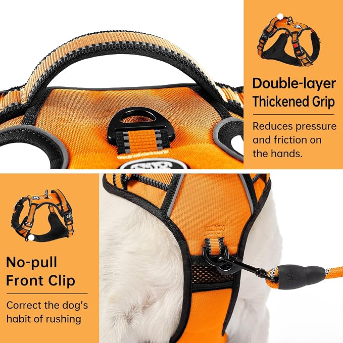 IVY&LANE No Pull Dog Harness for Large Dogs, Dog Vest Harness with Leash, Safety Belt and Storage Strap, Fully Adjustable Harness, 360° Reflective Strip, Soft Handle (Orange, L) - Image 5