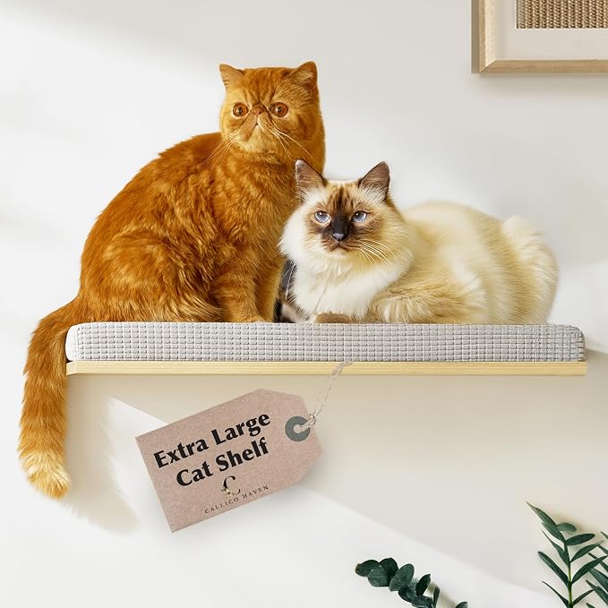Extra Large 23.6”x12.6” CALLICO HAVEN- Stylish Cat Wall Shelves with Cushion, Modern Wall-Mounted Cat Tree Furniture, Window Cat Shelf & Perch, Sturdy/Hidden Mounts, Washable Cover - Flat Shape by CallicoHaven