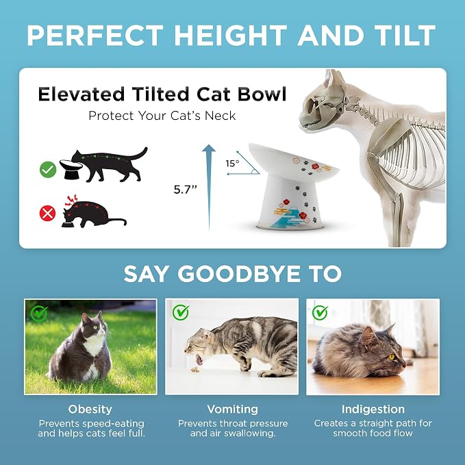 Necoichi Ceramic Raised Cat Food Bowl, 15° Tilted (Fuji, Extra Wide Tilted) - Image 5