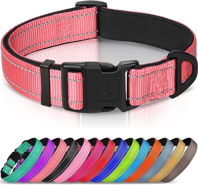 Joytale Reflective Dog Collar, Adjustable Neoprene Padded, Neon Pink L | Breathable Nylon for Large Dogs, No Chafing on Walks and Outdoor Hikes, Tear-Resistant Webbing, Metal D-Ring, Night Safety by Joytale