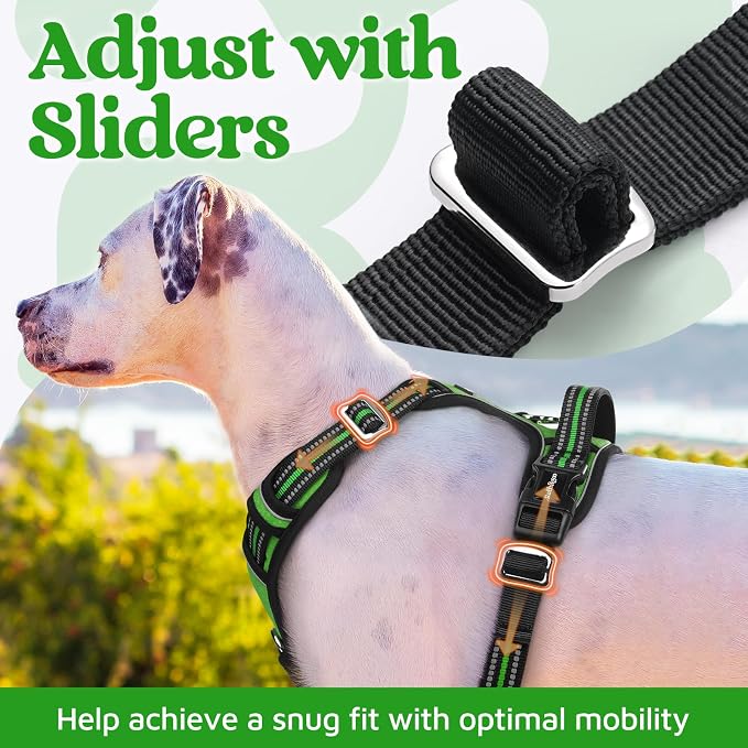 rabbitgoo Dog Harness Medium Sized, No Pull 3 Buckles Easy On & Off | Soft Padded, Walking with Control Handle, Adjustable and Reflective, Green, Medium - Image 5