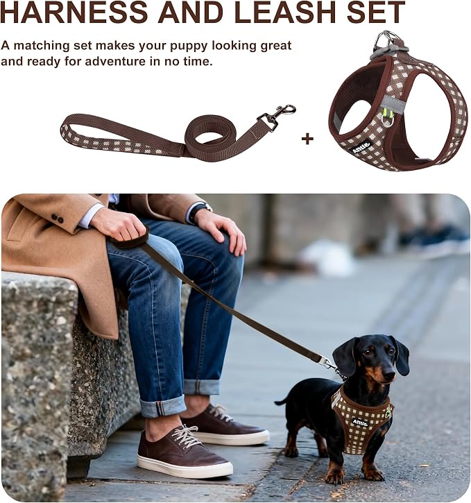 AIITLE Step in Medium Dog Harness and Leash Set, Pet Vest, Chocolate M | Breathable Mesh, Adjustable Fit, No-Pull Reflective Design, Escape Proof, for Small-Medium Dogs, Outdoor Walking, Running - Image 6