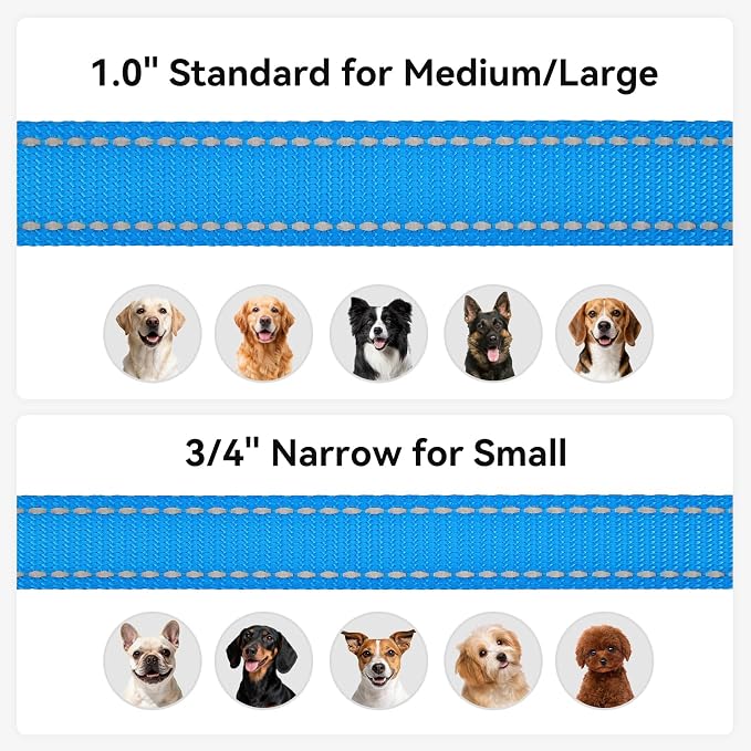 Joytale Reflective Dog Leash for Small Dogs, 4 FT x 3/4", Sky Blue | Heavy Duty Nylon Webbing, Padded Handle for Comfort, Visible at Night, for Walking & Training - Image 6