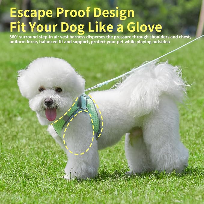 Summer Pet Supply No Pull, Step in Adjustable Dog Padded Harness | Vest Harness for Hot Weather, Escape Proof Ultra Thin Soft Easy to Put on Small Dogs Sage S - Image 6
