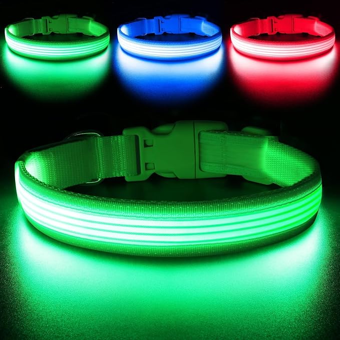 YFbrite Light up Dog Collar, USB Rechargeable LED Puppy Collar Super Bright Adjustable Glowing Dog Lights for Night Walking (Design 2-Green, Medium) by YFbrite
