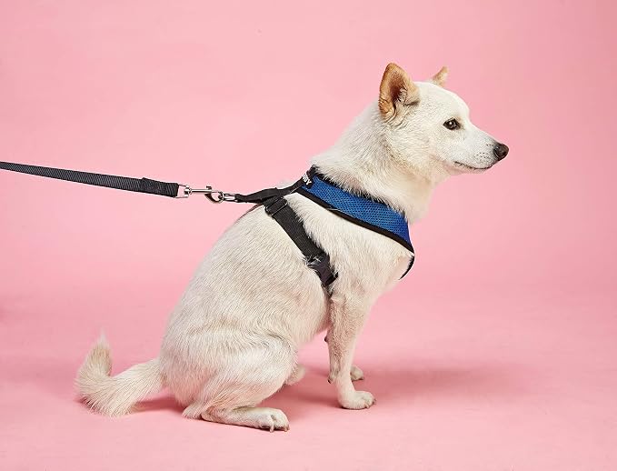 Gooby Comfort X Head-in Dog Harness, Choke-Free, Red, Large | Patented choke-free X-frame; Secure head-in fit; Lightweight breathable mesh; Back metal D-ring; Machine washable - Image 9