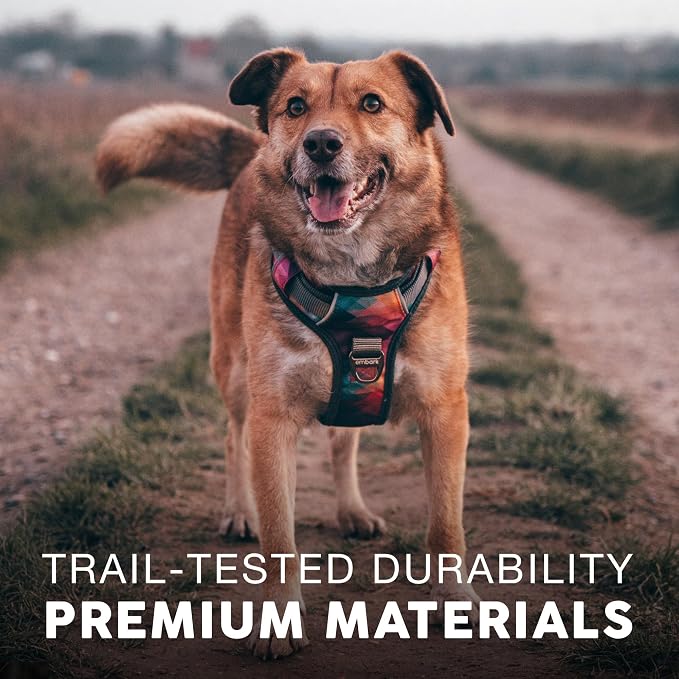 Embark No Pull Dog Harness, Reflective Adjustable Training Vest, No Choke | Adjustable straps fit all dog breeds with sturdy hooks; 360° reflective trim, soft padded Harness Design for All Dogs - Image 6