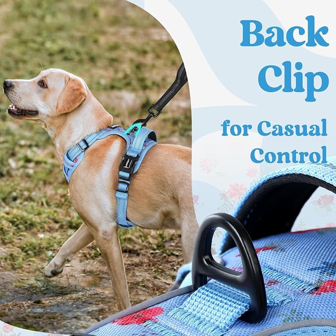 rabbitgoo Dog Harness Medium Sized, Updated Easy On & Off with 3 Buckles | No Pull No Choke, Walking with 2 Clips and Handle, Adjustable Soft Reflective, Floral Blue, Medium - Image 6