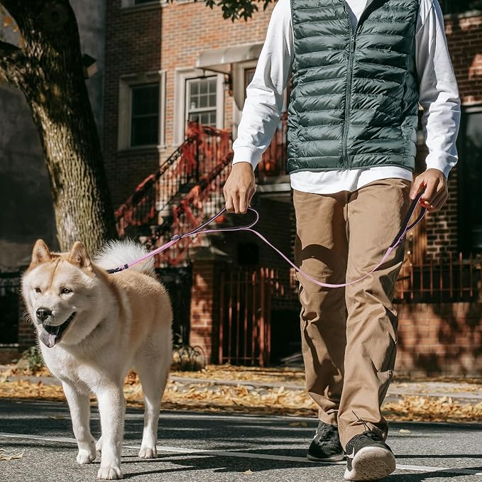 Double Handle Dog Leash for Large Dogs, Heavy Duty Adjustable Leash with Soft Padded Handles, Traffic Control Training Lead for Walking, Running (Purple & White Stripe, 4 ft) - Image 4