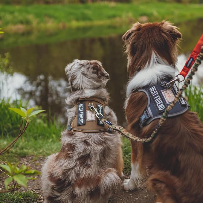 AUROTH Tactical Dog Harness for Small Medium Dogs No Pull Adjustable Pet Harness Reflective K9 Working Training Easy Control Pet Vest Military Service Dog Harnesses Desert Camo M - Image 6