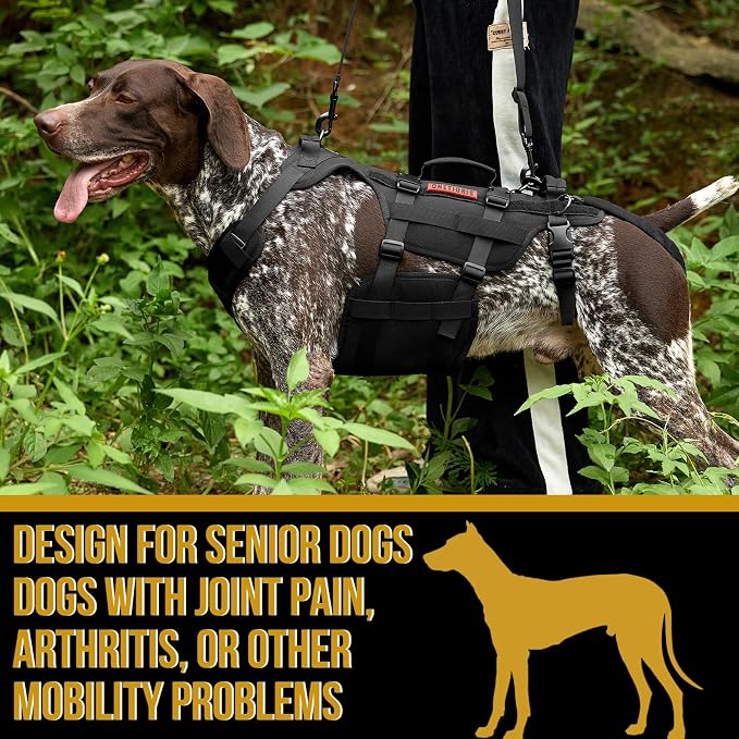 OneTigris Dog Lift Harness for Large Dogs, Dog Hip Support Brace, Full Body Dogs Lifter with Handles Invictus Multifunctional Mobility Assistance Vest for Back Legs (Black, Medium) - Image 5