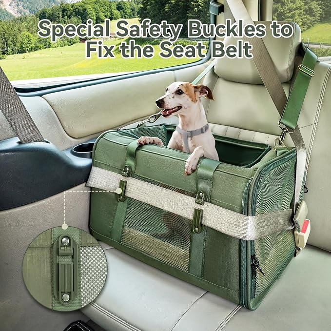 Petsfit 19x12x12 Pet Carrier for Large Cats (up to 20 lbs), Soft-Sided Small Dog Travel Carrier, Upgraded with Patented Buckle and Soft Padding, Ideal for Car Road Trips Green - Image 3