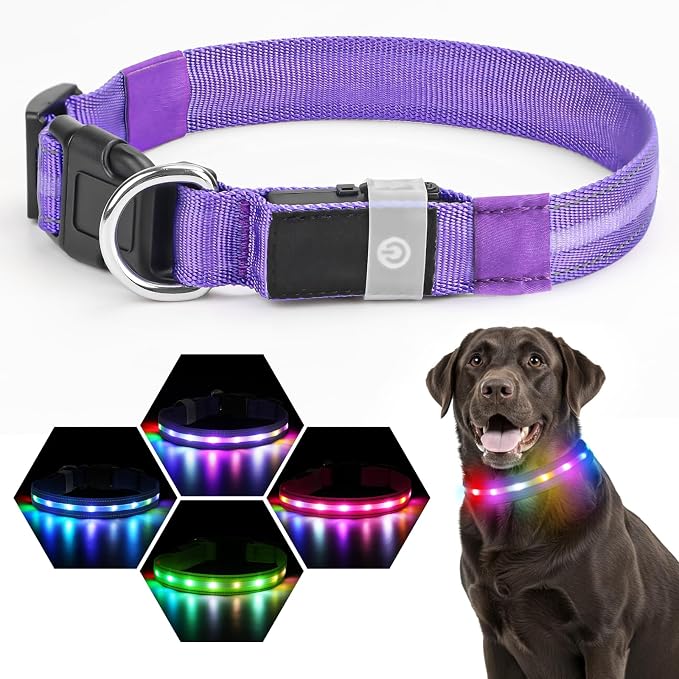 LED Dog Collar, RGB Light Up Dog Collar USB Rechargeable 6 Modes | Waterproof Light Up Dog Collar with Soft Nylon Comfort, Adjustable Fit for Small Medium Large Dogs Purple M - Image 2