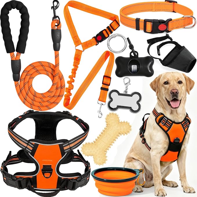 No Pull Dog Harness Adjustable Collar & Leash Set - Dog Halter Harnesses Collapsible Bowls & Poop Bag Dispenser Muzzle ID Tags Toys Fits Small Medium Large Dogs (Orange-XL) by Unknown