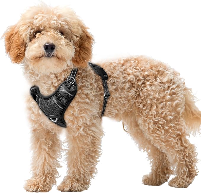 BARKBAY No Pull Dog Harness Large Reflective Dog Harness with Front Clip and Easy Control Handle for Walking Training Running with ID tag Pocket(Black,XS) by BARKBAY
