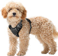 BARKBAY No Pull Dog Harness Large Reflective Dog Harness with Front Clip and Easy Control Handle for Walking Training Running with ID tag Pocket(Black,XS) by BARKBAY