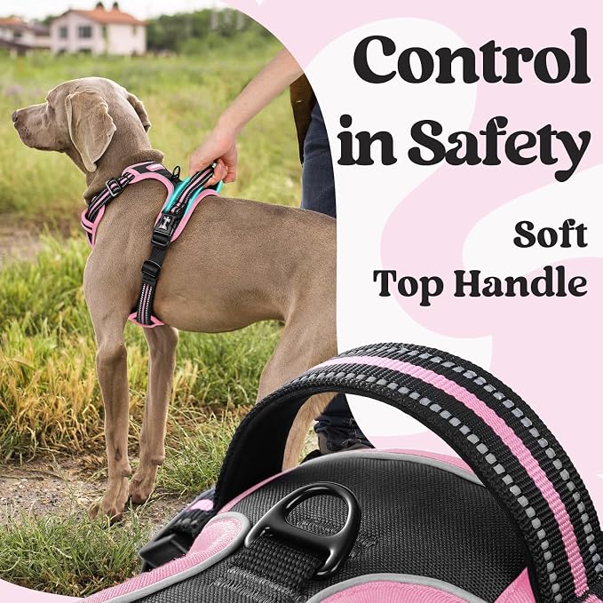 rabbitgoo Dog Harness Small Sized, Updated Easy On & Off with 3 Buckles | No Pull No Choke, Walking with 2 Clips and Handle, Adjustable Soft Reflective, Black & Pink, Small - Image 4