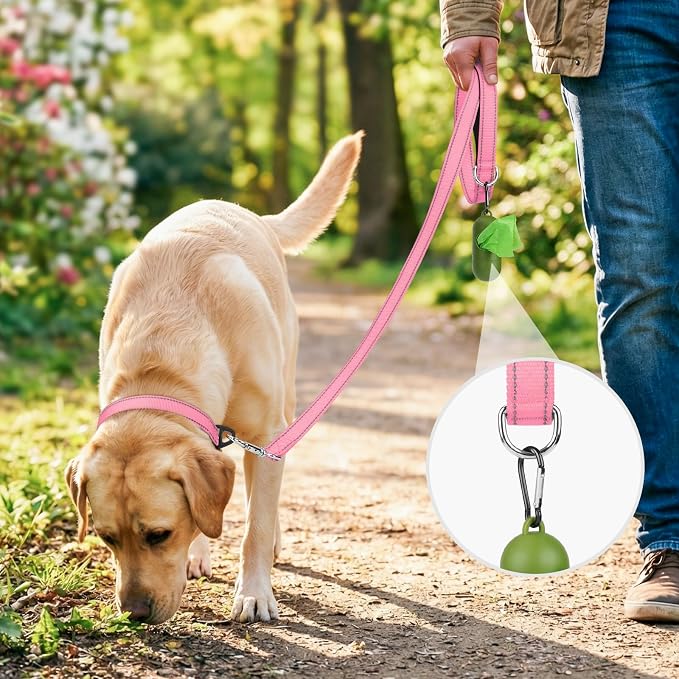 Joytale Reflective Dog Leash for Medium & Large Dogs, 6 FT x 1", Pink | Heavy Duty Nylon Webbing, Padded Handle for Comfort, Visible at Night, for Walking & Training - Image 2