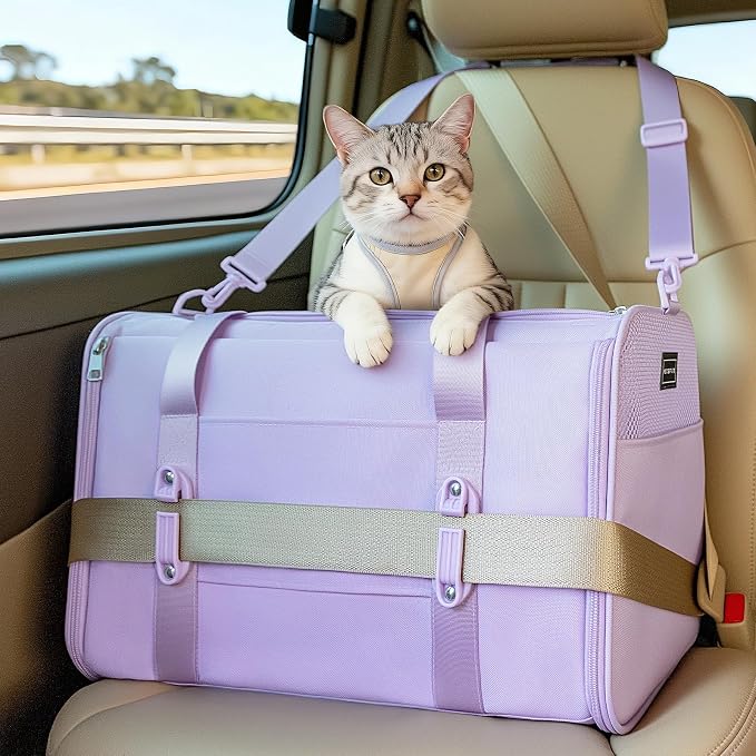 PETSFIT Large Cat Carrier with Patented Safety Buckles,Big Cats Up to 20 lb | Secure Carrier for Safe Driving, Lockable Zippers, Safety Tether, Travel Pet Carrier for Trips & Vet Visits, 19 x 12 x 12 by Petsfit