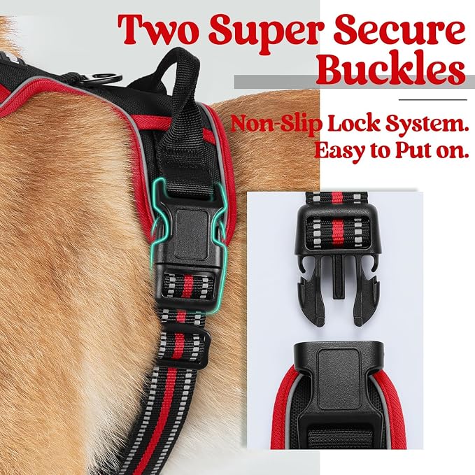 rabbitgoo Dog Harness, No Pull for Large Dogs with 2 Leash Clips, Pet Vest | No Choke with Handle, Adjustable Soft Padded, Reflective, Easy Control for Walking, Black & Red, Large - Image 4
