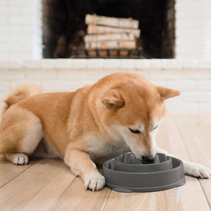 Outward Hound Fun Feeder Slo Bowl Dog Slow Feeder, Drop, Gray, 8.8" | Slows Fast Eaters, Can Aid Digestion, Holds 2 Cups Dry or Wet Food, Non-Slip, Easy Clean, No BPA, Small to Medium Dogs & Cats - Image 6