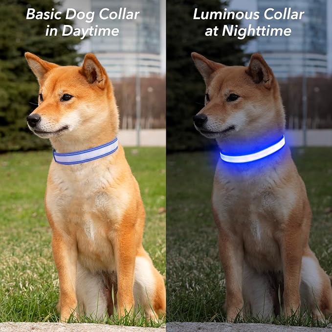 Visinite Light Up Dog Collars for Small Medium Large Dogs, Fully Adjustable LED Dog Collar USB Rechargeable, 3 Glowing Modes Pet Dog Collar, Lighted Dog Collars for Night Walking Safety - Image 5