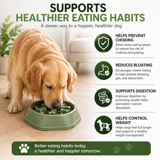 Slow Feeder Bowl for Small & Medium Cats & Dogs - Durable Slow Feeding Bowl with Non-Slip Base - Anti-Choking Puzzle Food Bowl for Dogs That Helps Mental Stimulation & Reduces Fast Eating-Green - Image 6