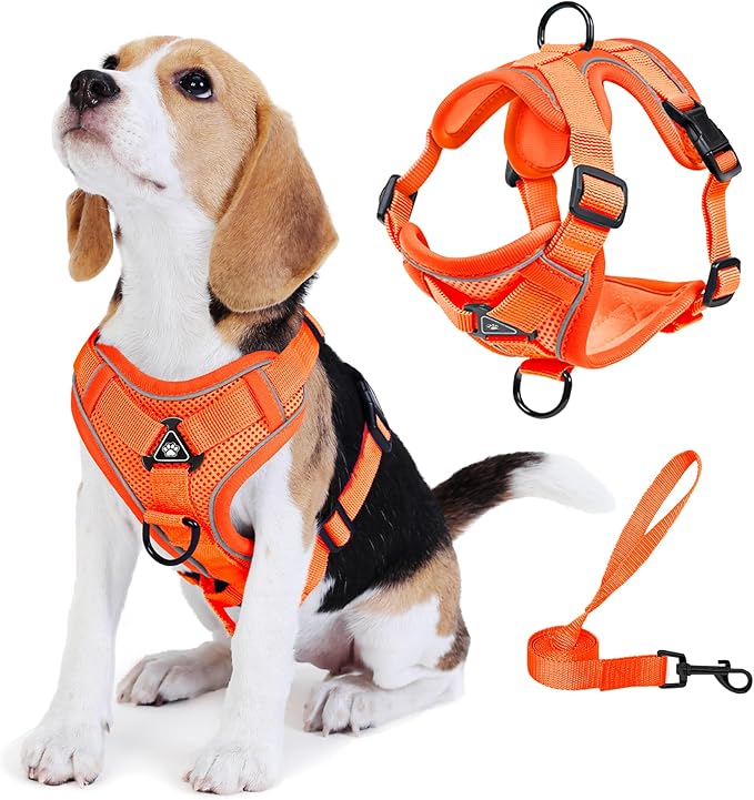 Dog Harness Medium Sized Dog Pet Vest with Leash Set Orange L | Adjustable Puppy Vest Harness, No Choke No Pull, Soft Padded, Step-in Dog Vest, Reflective Cat Harness, Breathable Air Mesh by Unknown