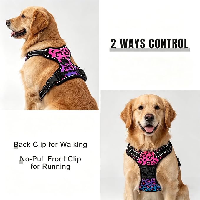Rnivvi No Pull Dog Harness, Cute Leopard Reflective Small Sized Puppy Kitten Harness, Adjustable Soft Padded Vest for Small Dogs, Cats, Heavy Duty Pet Vest with Easy Control Handle for Walking, Neon - Image 5
