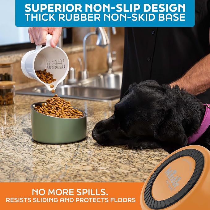 Master Pet Supply Stainless Steel Slanted Dog Cat Food Bowl 24 oz Mango | Heavy Duty Double Wall Insulated Non-Slip Elevated Bowl for French Bulldogs Pugs Cats Anti Rust Dishwasher Safe, Mango Tango - Image 5